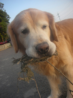 20100404e.jpg