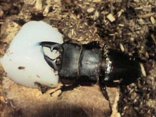 20100509.jpg