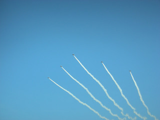 20100719c.jpg