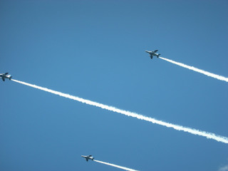 20100719d.jpg