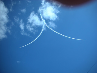 20100719l.jpg
