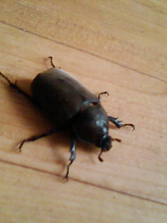 20110723.jpg