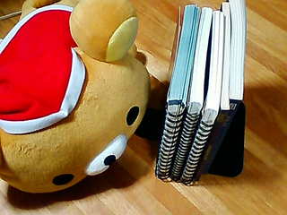 20120217d.jpg