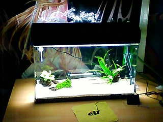 20120319a.jpg