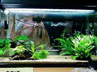 20120329a.jpg