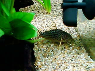 20120329b.jpg