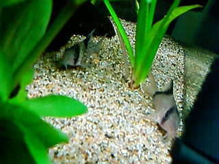 20120329c.jpg