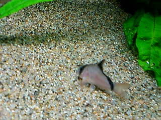 20120329d.jpg