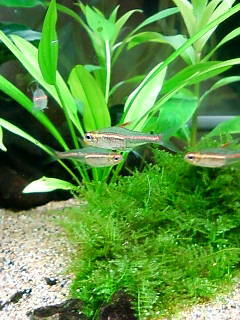 20120419b.jpg