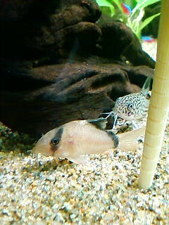 20120419c.jpg