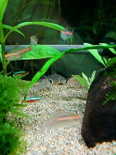 20120419d.jpg