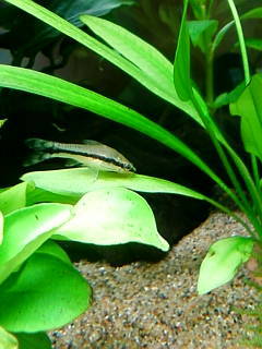 20120419g.jpg