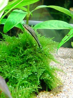 20120419h.jpg