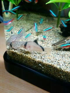 20120419i.jpg