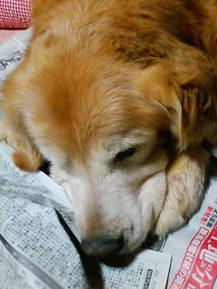 20120512.jpg