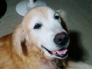 20120822.jpg