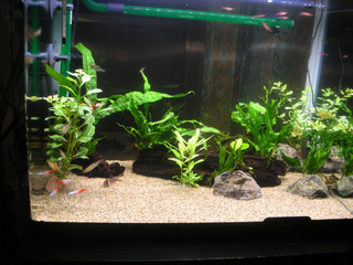 20130517b.jpg