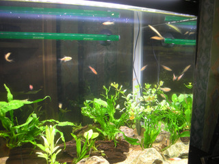20130517c.jpg