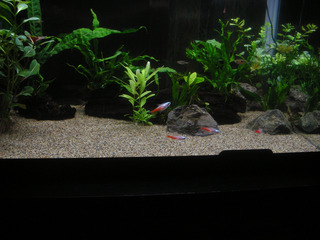 20130517f.jpg