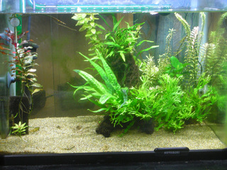 20140207a.jpg