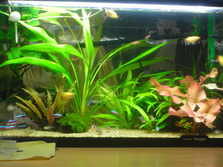 20140207b.jpg