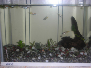 20140506.jpg