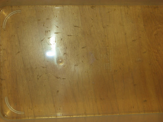 20140627e.jpg