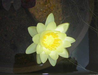 20140826b.jpg