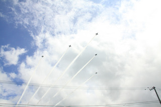 bi02.jpg